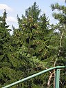 IMG_1461